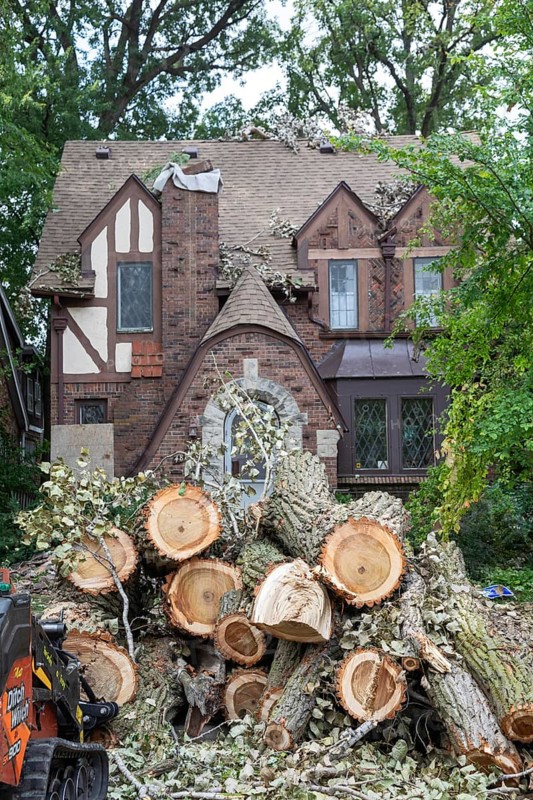 Detroit, Michigan, A storm with 70mph wind gusts blew down a 15-ton, 110-foot cottonwood, damaging three homes in the Morningside neighborhood. A dozen workers used two cranes, bucket trucks, and other equipment to remove the tree