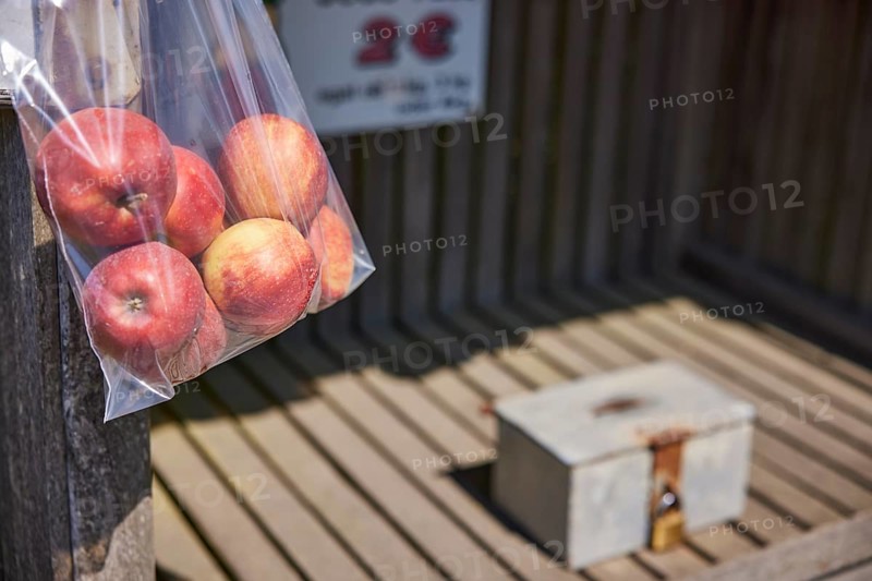 Bag of apples and blurred cash box in a self-service stall in Wischhafen, district of Stade, Lower Saxony, Germany, Europe