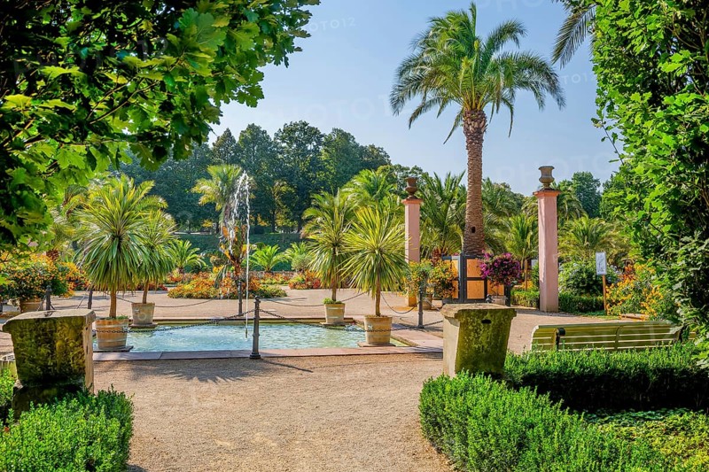 Palm garden in the historic spa gardens, the largest outdoor palm garden north of the Alps, Bad Pyrmont, Emmertal, Weserbergland, Oranierroute, Lower Saxony, Germany, Europe