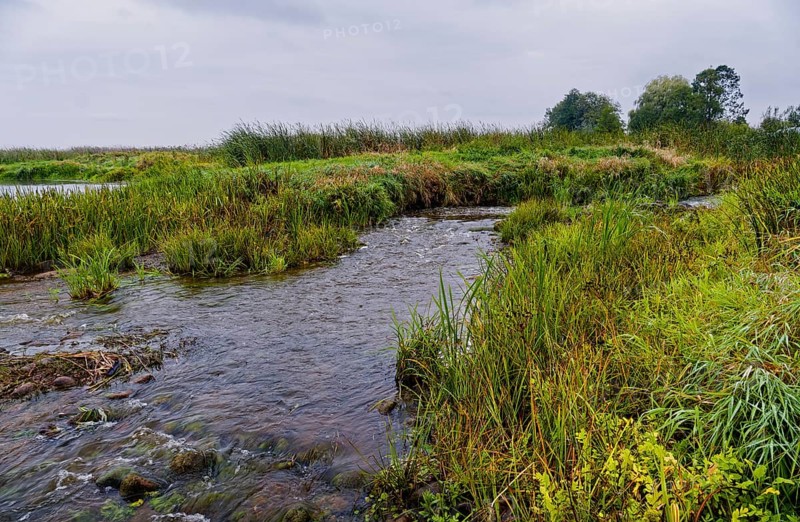 The riverbed of the Narew in the Narew National Park, Narwianski Park Narodowy, in the north-east of Poland. Waniewo, Podlaskie, Poland, Europe