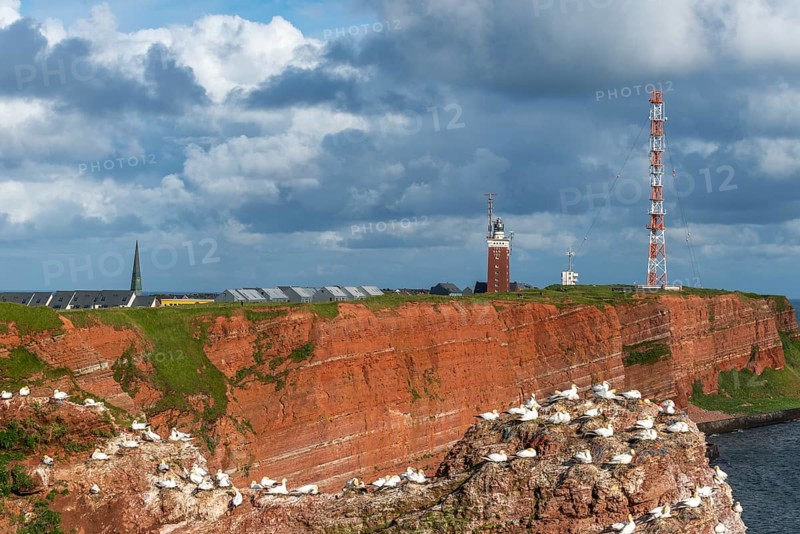 Red coloured sandstone, steep cliff coast of the high seas island Helgoland, home of the gannets, nests, Helgoländer Oberland with brick lighthouse and radio tower, tower of the Nicolaikirche, cloudy sky, sunshine, North Sea, district Pinneberg, Schleswig-Holstein, Germany, Europe