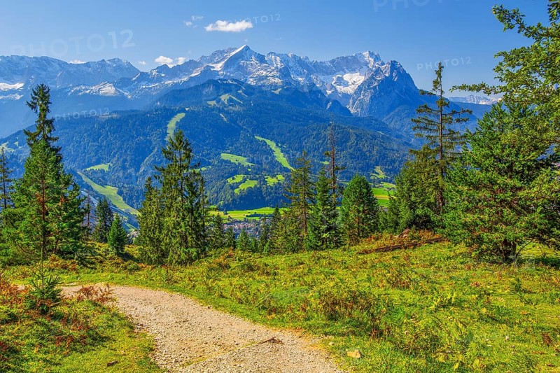 Hiking trail on the Wank 1780m with views of the valley and Zugspitze group 2962m, Garmisch-Partenkirchen, Loisachtal, Werdenfelser Land, Upper Bavaria, Bavaria, Germany, Europe