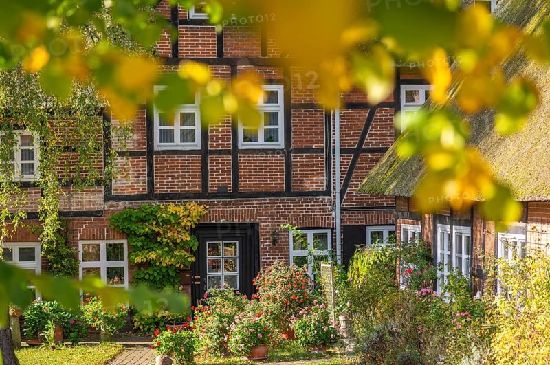 Community Probsteierhagen, former inn PLagmann, half-timbered house with thatched roof, tree in autumn leaves, view, landscape Probstei, Schleswig-Holstein, Germany, Probstei, Schleswig-Holstein, Germany, Europe