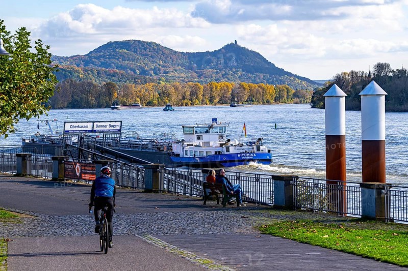 Cargo ship on the Rhine near Bonn, Rhine promenade near Bonn-Oberkassel, Siebengebirge in the background, North Rhine-Westphalia, Germany, Europe