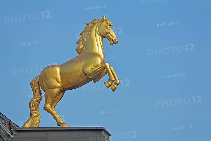Golden horse figure by sculptor Heinz Müller-Olm on the roof of the Landesmuseum, golden, horse figure, horse, detail, old town, Mainz, Rhine-Hesse region, Rhineland-Palatinate, Germany, Europe