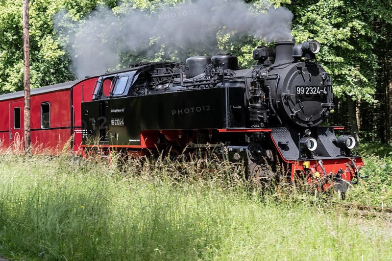 Bäderbahn Molli, Kühlungsborn, Mecklenburg-Vorpommern, Germany, Europe