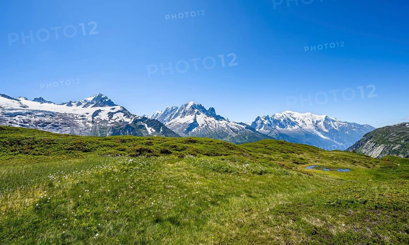 Mountain panorama with glaciated mountain peaks, Aiguille de Chardonnet with Glacier du Tour, Aiguille Verte with Aiguille du Midi and Mont Blanc, hike to Aiguillette des Posettes, Chamonix, Haute-Savoie, France, Europe