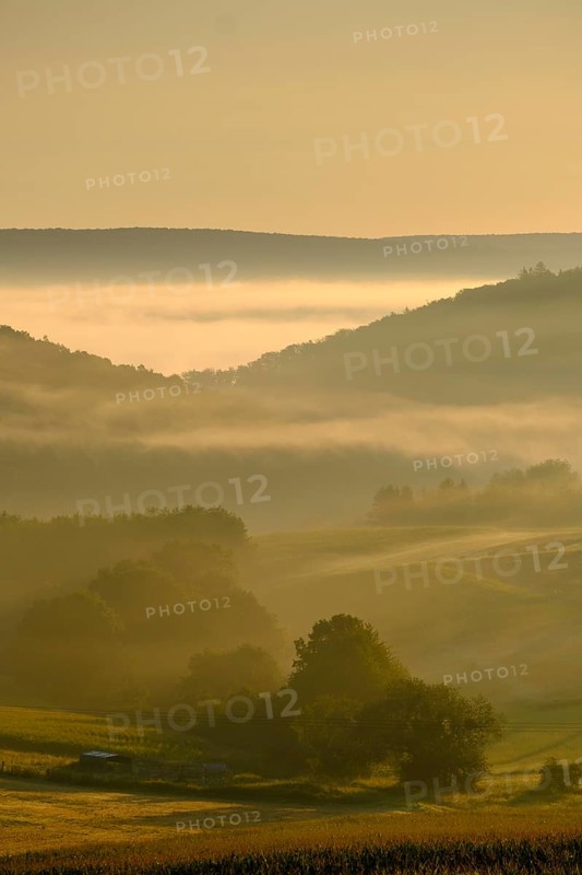 Morning fog over the Werra valley, Weißenborn near Eschwege, Werra-Meißner district, Werra valley, North Hesse, Hesse, Germany, Europe