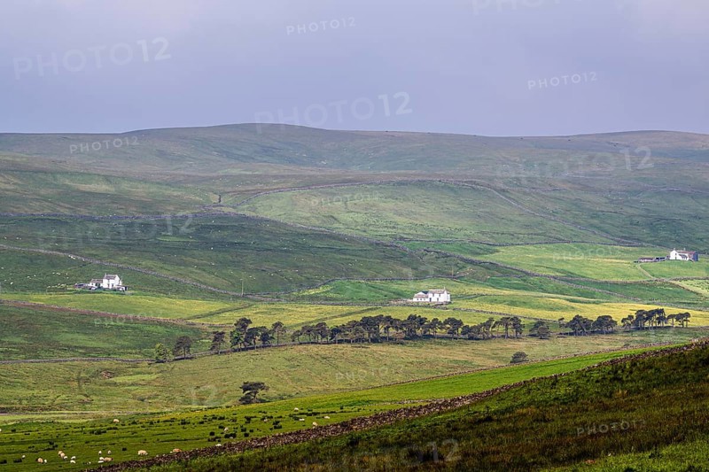 Farms over Upper Teesdale and River Tees, Forest-in-Teesdale village, County Durham and Cumbria, England, United Kingdom, Europe