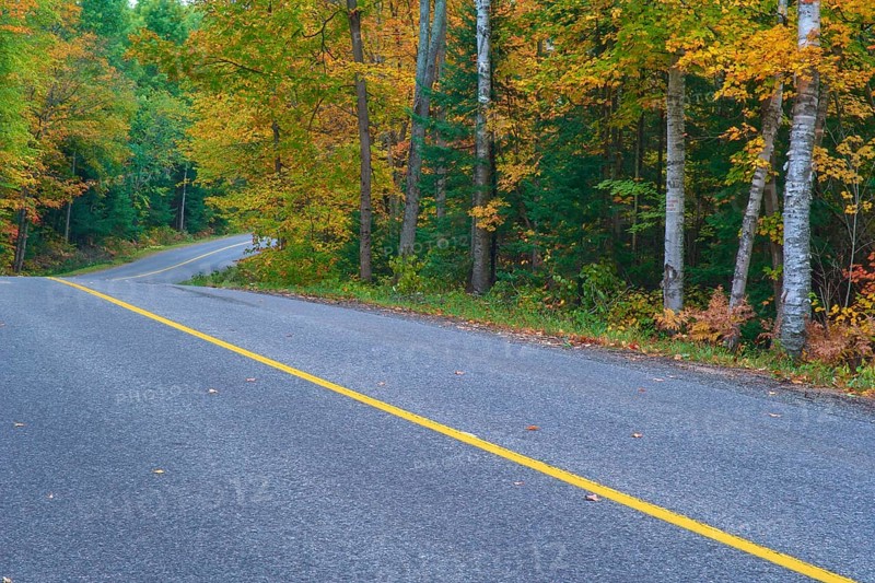 Road winds through an autumn forest with colourful foliage and a yellow centre line, Autumn, Ontario, Canada, North America
