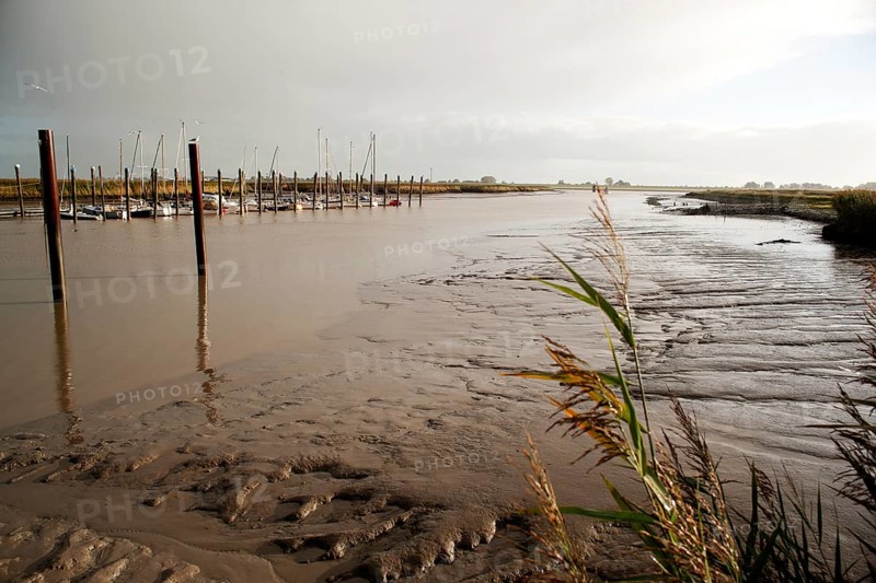 Low water, Ems, silt inflow, ferry harbour, Petkum, East Frisia, Germany, Europe