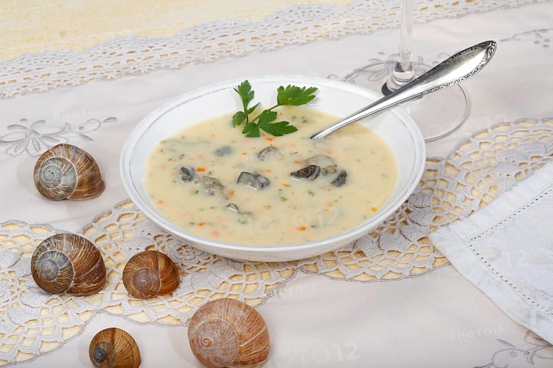 Baden cuisine, snail soup, typical Baden, vineyard snail shell, snail shells, parsley, spoon, soup bowl, traditional cuisine, speciality, food photography, studio, Germany, Europe