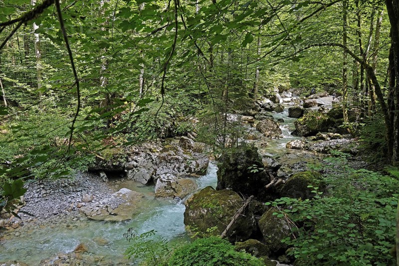 Seisenbergklamm gorge, natural monument, Pinzgau, Salzburger Land, Austria, Europe