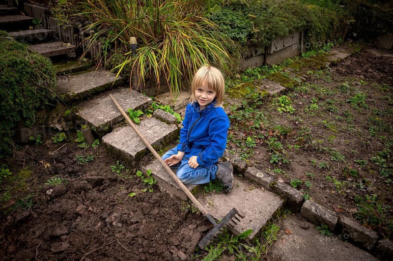 Little boy, 6 years, blonde, gardening, rake, allotment, Stuttgart, Baden-Württemberg, Germany, Europe