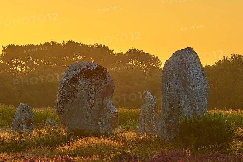 Neolithic menhirs, standing stones in Carnac with sunrise, Carnac, Quiberon, Morbihan, Brittany, France, Europe