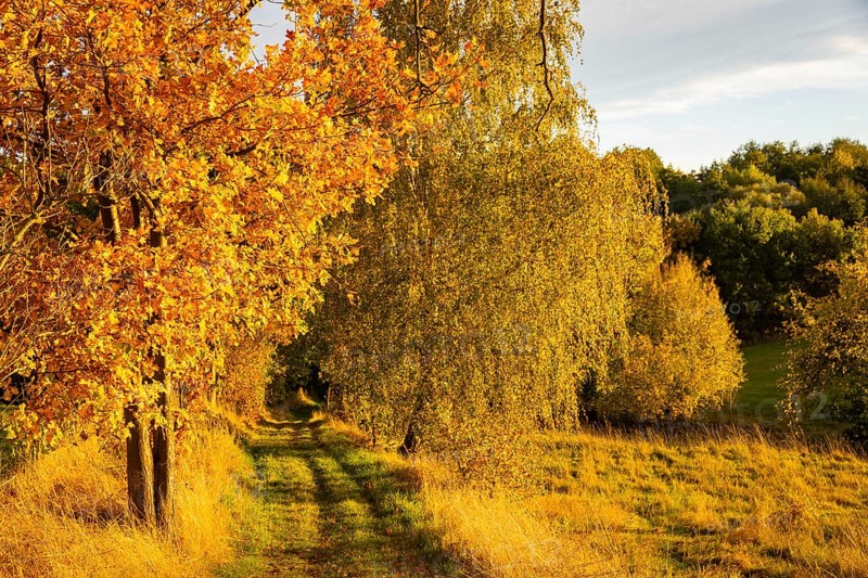 Autumn in the Gebergrund near Rippien. Professor Banzer from the Dresden Art Academy once painted in this valley with his students, Rippien, Saxony, Germany, Europe