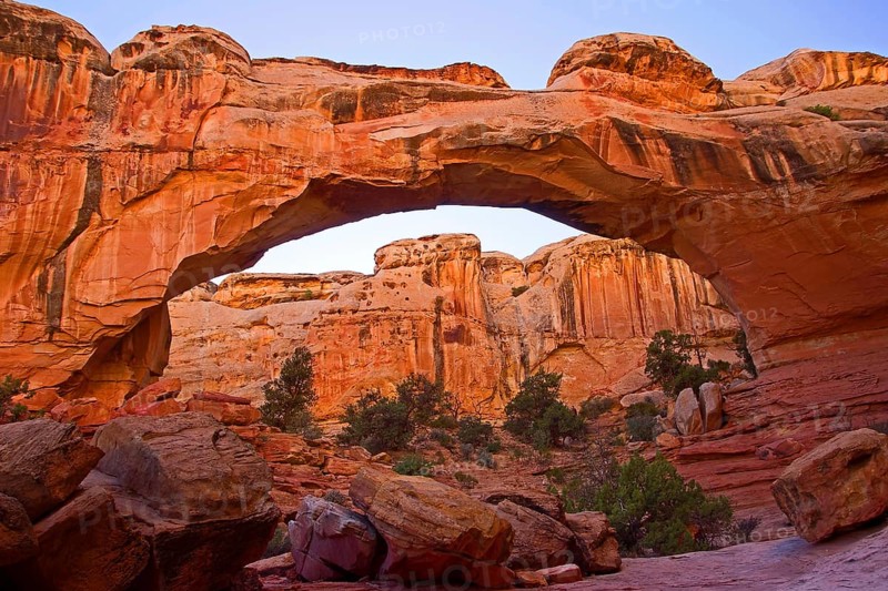 Capitol Reef NP, Utah, USA, Capitol Reef NP, Utah, USA, North America