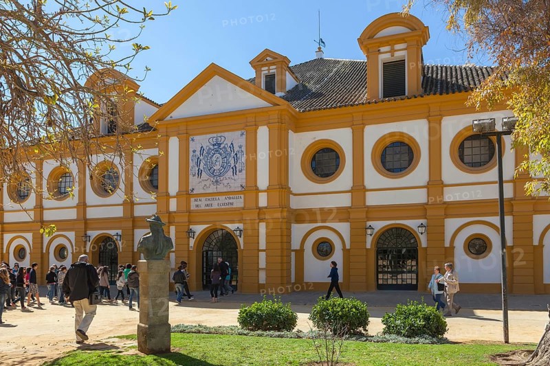 Royal Andalusian Riding School, Jerez de la Frontera, Andalusia, Spain, Europe