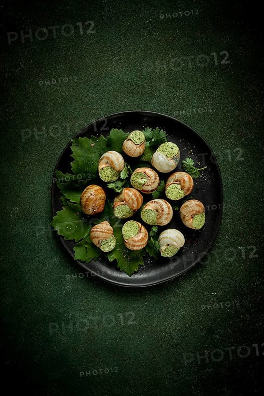 Grape snails, stuffed in burgundy, french cuisine