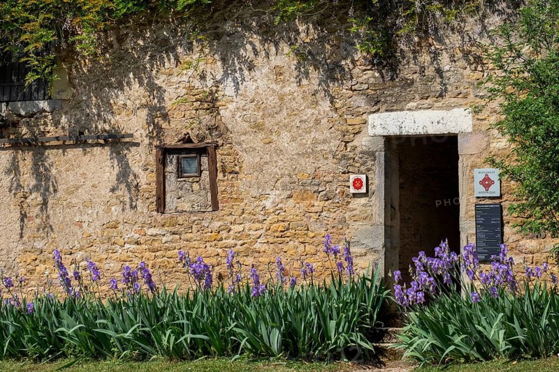 Entrance Chapelle des Moines, chapel of the monks, chapel of a former collegiate Cluniac priory, Berzé-la-Ville, Département Saône-et-Loire, Burgundy, France, Europe