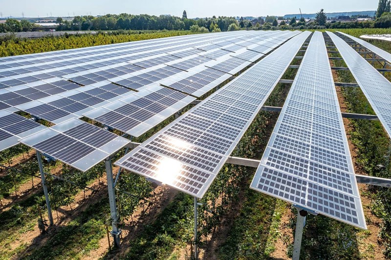 Agri-photovoltaic test plant, an apple orchard with two different systems of PV modules was roofed over 3000 square metres, rain and sunlight comes through, at the same time protection against hail and heavy rain, next to it are the same trees but without a solar roof, as a comparison object, how the PV roof affects the trees and harvest, the field test is accompanied by the Fraunhofer Institute for Solar Energy Systems ISE, in Grafschaft-Gelsdorf, Rhineland-Palatinate, Germany, Europe