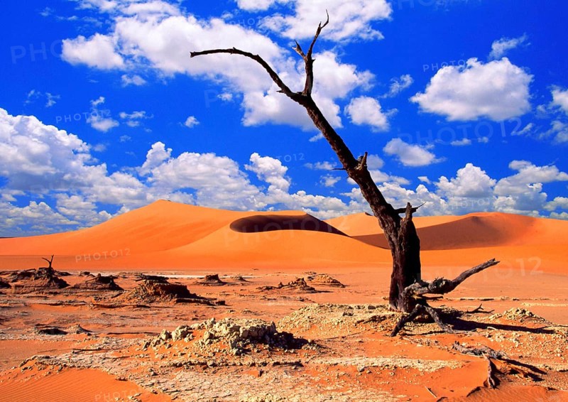 Africa, Namibia, Dead Vlei, Naukluft National Park, Africa