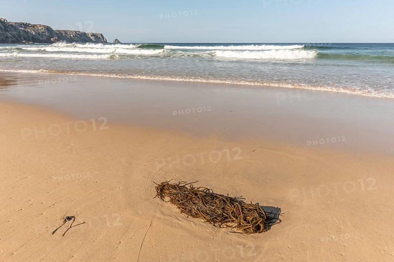 Fine sandy beach on the Atlantic coast. Camaret sur mer, Crozon, Finistere, Brittany, France, Europe