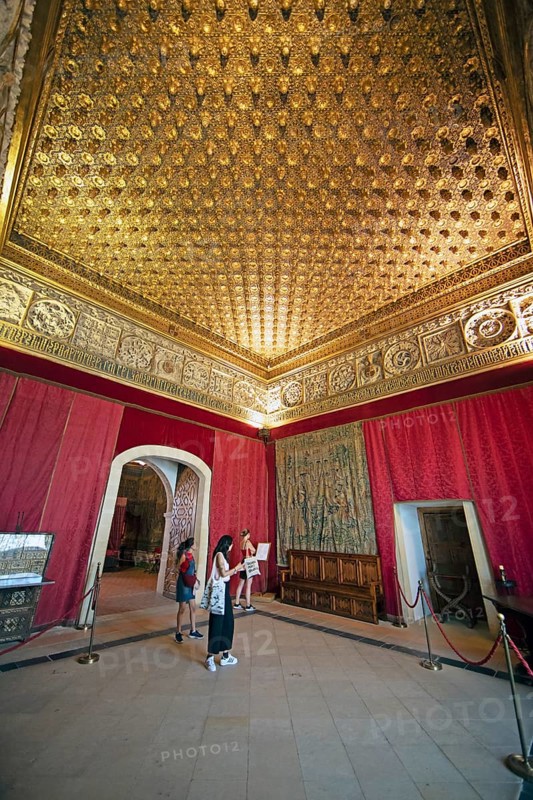 Pine Cone Room in the Alcazar, Segovia, Province of Segovia, Castile and Leon, Spain, Europe