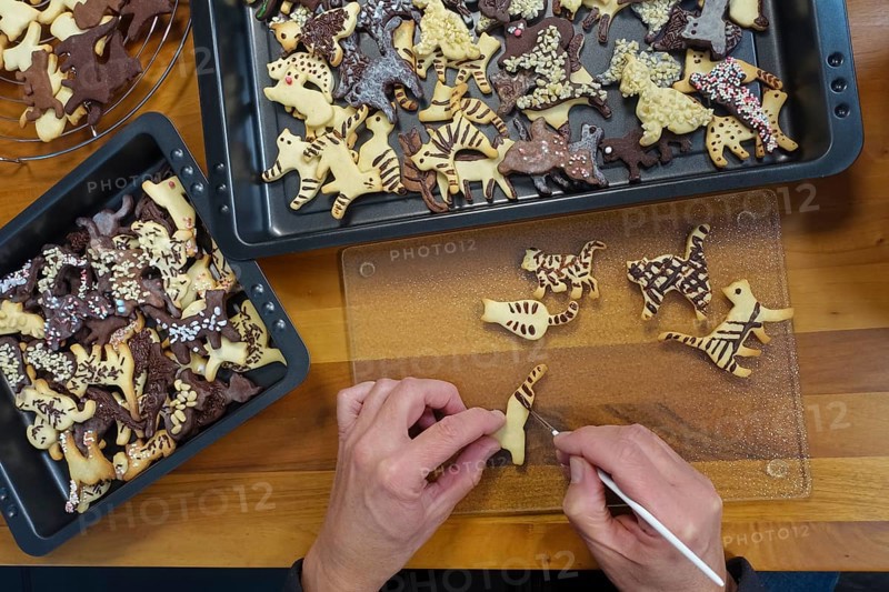 Swabian cuisine, Swabian Christmas biscuits, cookie cutters, shortbread biscuits painted with chocolate, brushes, cat figures, black pastries with cocoa, white biscuits, typical Swabian, baking, Christmas biscuits, sweet biscuits, Gutsle, Bredle, baked goods, from the oven, cooling rack, cake rack, traditional cuisine, men's hands, food photography, studio, Germany, Europe