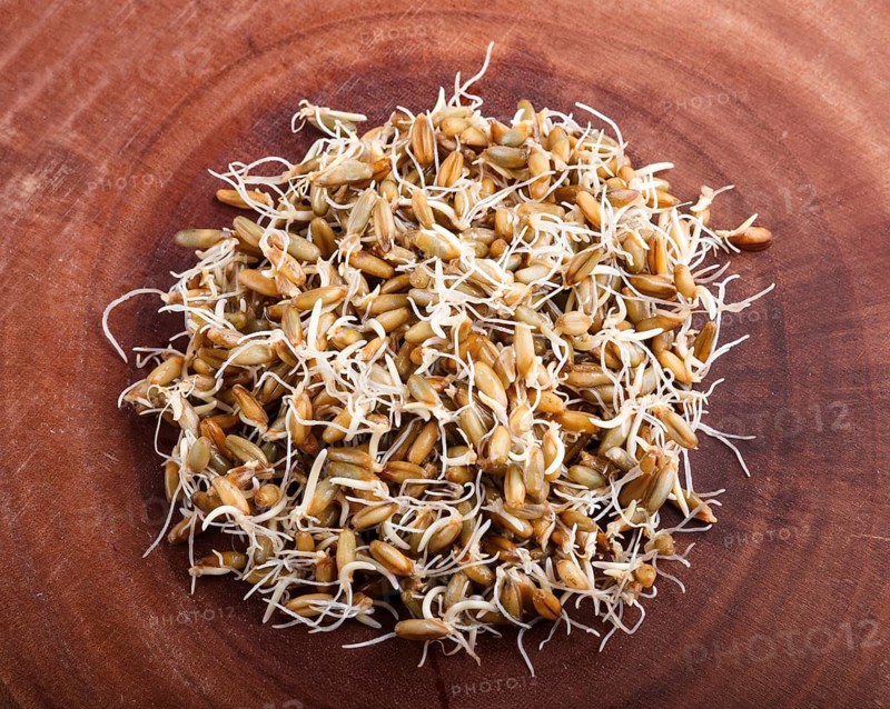 Heap of germinated rye on brown wooden background, close up, top view