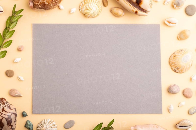 Composition with gray paper sheet, seashells, pebbles, green boxwood. mockup on orange background. Blank, top view, still life, flat lay, copy space. travel concept