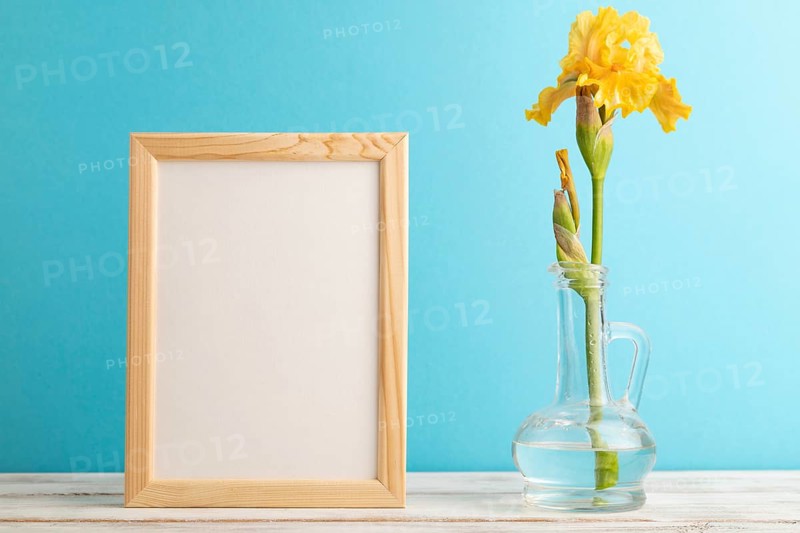Wooden frame with yellow iris flower in glass on blue pastel background. side view, copy space, mockup, template, spring, summer minimalism concept
