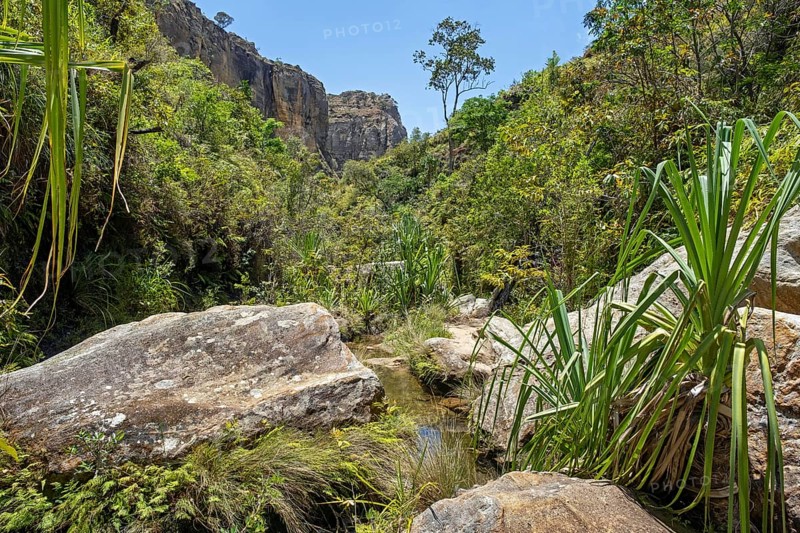 Stream and lush vegetation in canyon at Isalo National Park, Ihorombe Region, Fianarantsoa Province, Madagascar, Africa