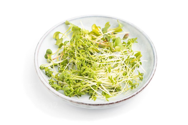 Ceramic plate with microgreen sprouts of radish and cress isolated on white background. Side view, close up