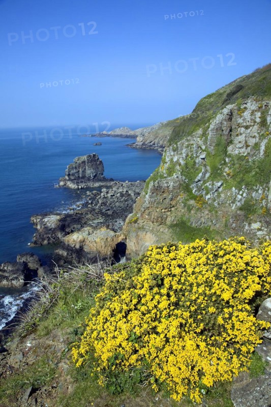 Les Autelets stacks and dramatic coastal scenery west coast of Sark Island, Channel Islands, Great Brit