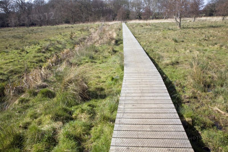 A wooden boardwalk across wet marshy field forming an art work High Water Mark 2048 by Jonathan Keep, Snape, Suffolk, England, UK
