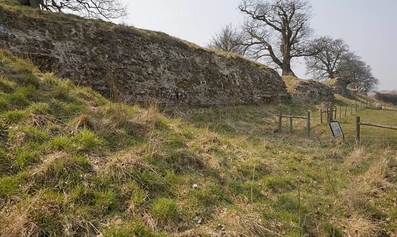 Site of Roman town of Venta Icenorum, Caister St Edmund, Norfolk, England, United Kingdom, Europe
