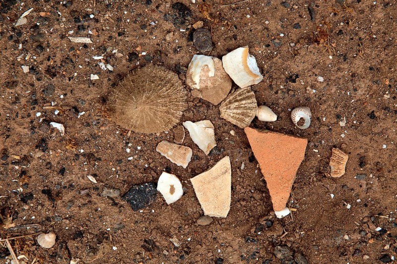Sea-shells and pottery shards at pre-Spanish Mahos village, Poblado de la Atalayita, Pozo Negro, Fuerteventura, Canary Islands, Spain, Europe