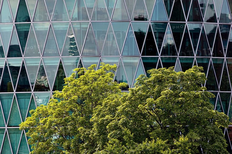 Green tree in front of the Westhafen Tower with a diamond-shaped, petrol-coloured façade structure reminiscent of an apple wine glass, Frankfurt am Main, Hesse, Germany, Europe