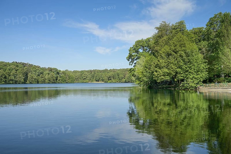 Schlachtensee, Zehlendorf, Steglitz-Zehlendorf, Berlin, Germany, Europe