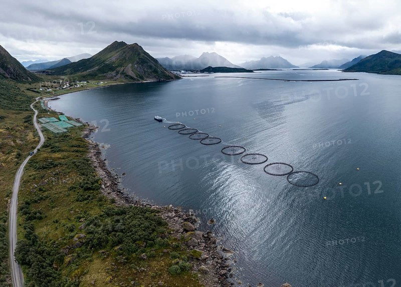 Aerial view of a salmon farm, rainy weather, grey sky, village Myre in the back, Vesteralen islands, Norway, Europe
