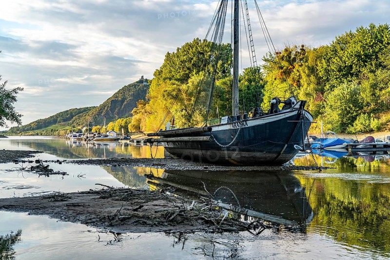 The Rhine at extremely low water, near Bad Honnef Rhöndorf, below the Drachenfels, the historic Rhine ship, Aalschokker Aranka, in the Old Rhine arm, on the island of Grafenwerth, dry banks of the Rhine, North Rhine-Westphalia, Germany, Europe
