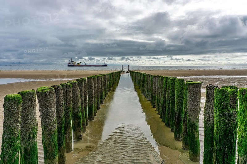 North Sea coast in Zeeland, called Zeeland Riviera, breakwater, made of wooden piles, near Zoutelande, freighter Selvaagsund, municipality of Veere, Netherlands