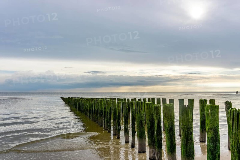 North Sea coast in Zeeland, called Zeeland Riviera, breakwater, made of wooden piles, near Zoutelande, municipality of Veere, Netherlands