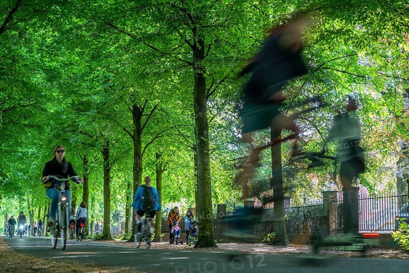 Promenade cycle path, tree-lined, car-free, approximately 4.5 km long ring road around the city centre of Münster, North Rhine-Westphalia, Germany, Europe
