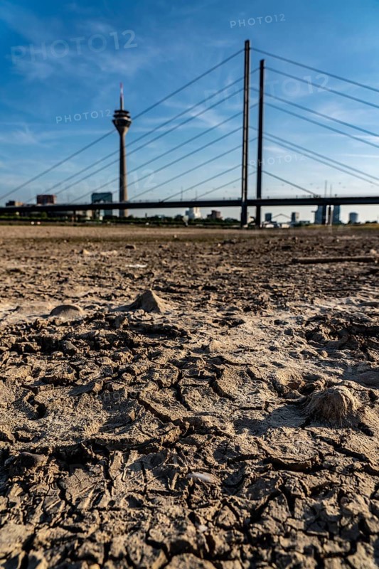 Rhine near Düsseldorf, extremely low water, Rhine level at 81 cm, falling, after a long drought the left bank of the Rhine is dry, near Düsseldorf Oberkassel, Rheinkniebrücke, Rheinturm, North Rhine-Westphalia, Germany, Europe
