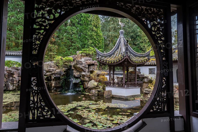 The Botanical Garden of the Ruhr University Bochum, in the district of Bochum-Querenburg, North Rhine-Westphalia, Germany, The Chinese Garden, named Qian Yuan, in the Botanical Garden of the Ruhr University Bochum, in the district of Bochum-Querenburg, North Rhine-Westphalia, Germany, Europe