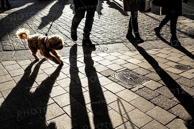 Pedestrians in a pedestrian zone, winter, long shadows, Dortmund, North Rhine-Westphalia, Germany, Europe