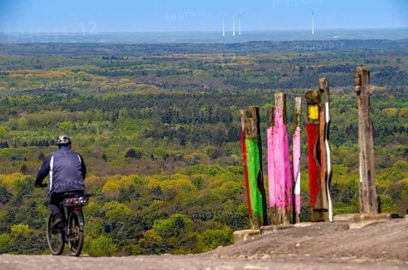 The Haniel spoil tip, 185 metre high spoil tip, at the Prosper Haniel mine, closed in 2019, artwork Totems by the sculptor Augustin Ibarrola, cyclist, Bottrop, Germany, Europe
