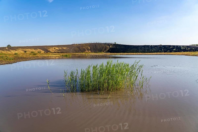 The Haniel spoil tip, 185 metre high spoil tip at the Prosper Haniel mine, which was closed in 2019, artwork Totems by the sculptor Augustin Ibarrola, pond, Bottrop, Germany, Europe
